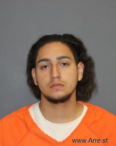 Mitchell Dekanski Arrest Mugshot