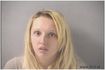 Alyson Michelle Long Mugshot