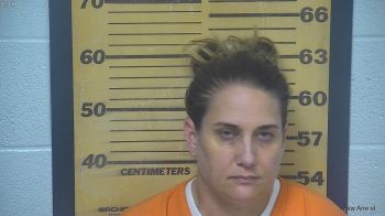 Amanda Ann Carmen Andrews Mugshot