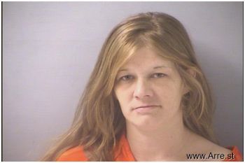 Amanda Rae Saurber Mugshot