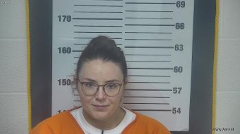 Amber Lynn Leppert Mugshot