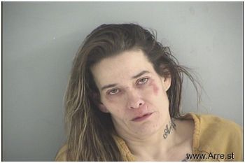 Amy Renee Haddix Mugshot