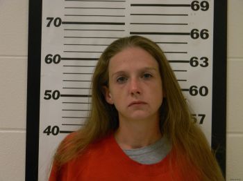 Amy Beth Harris Mugshot