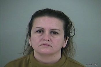 Ann Tiffany Smith Mugshot