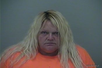 Ann Stacy Williams Mugshot