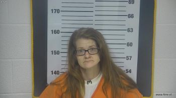 Ashley Annette Kinnison Mugshot