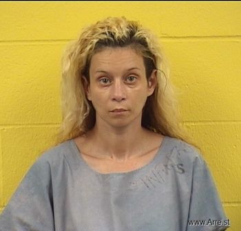 Ashley N Sheets Mugshot