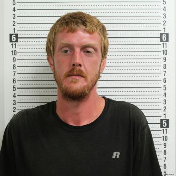 Aaron Wesley Bobo Mugshot