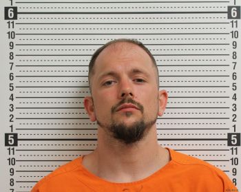 Aaron Michael Lee Mugshot