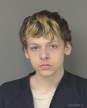 Adrien David Fultz Mugshot