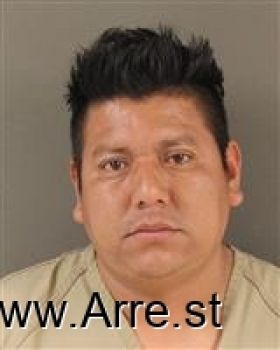 Alejandro  Dominguez-hernandez Mugshot