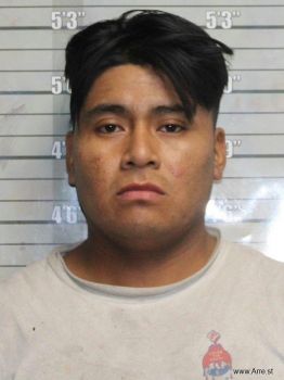 Alex Otoniel Matom Cedillo Mugshot