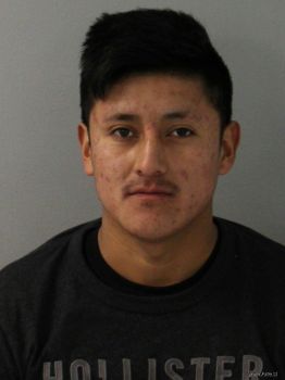 Alexander Calo Hernandez Mugshot