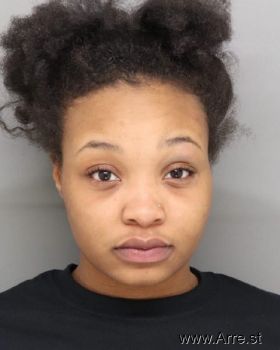 Alexis Renee Johnson Mugshot