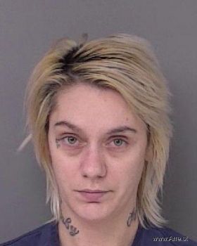 Alisha Christine Salyer Mugshot