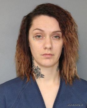 Alisha Christine Salyer Mugshot