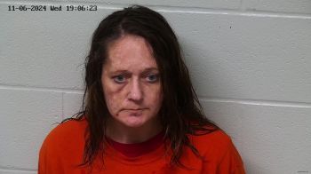 Alyse Bonnie Pfeifer Mugshot