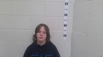 Alysia Nicole Jasmine Wilson Mugshot