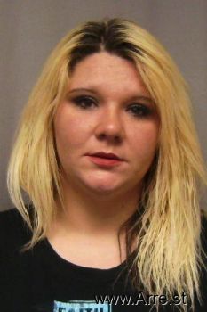 Amanda Nichole Anderson Mugshot