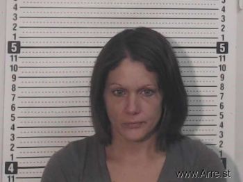 Amanda M Brown Mugshot