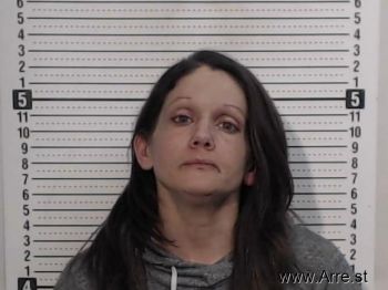 Amanda M Brown Mugshot