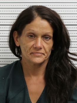 Amanda M Brown Mugshot