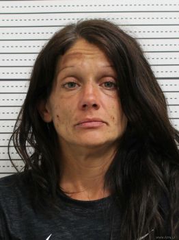 Amanda M Brown Mugshot