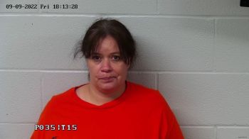 Amanda Nicole Brown Mugshot