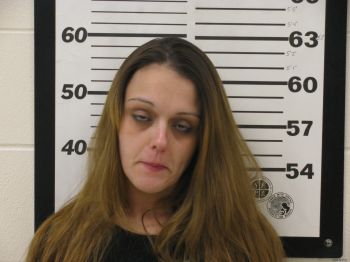 Amanda K Ellison Mugshot