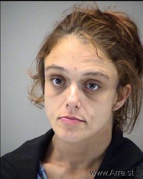 Amanda Katherine Ellison Mugshot