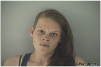 Amanda Richelle Gibson Mugshot