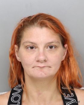 Amanda  Godfrey Mugshot