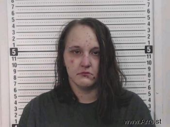 Amanda D Haines Mugshot