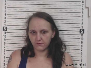 Amanda D Haines Mugshot