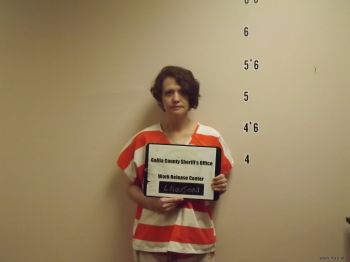 Amanda  Lawson Mugshot