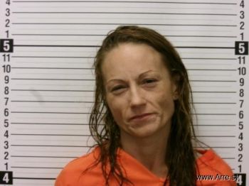 Amanda Louise Logan Mugshot