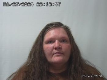 Amanda  Mills Mugshot