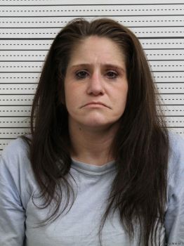 Amanda D Nelson Mugshot