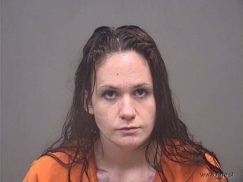 Amanda R Newcomer Mugshot