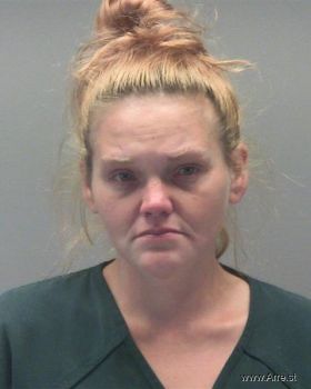 Amanda Rene Parker Mugshot