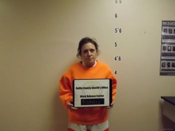 Amanda  Rodgers Mugshot