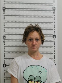 Amanda R Seymour Mugshot