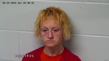 Amanda Renee Seymour Mugshot