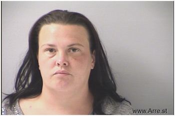 Amanda Lee Terry Mugshot