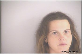 Amanda Lee Terry Mugshot