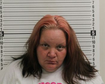 Amanda L Terry Mugshot