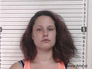 Amber Lynn Ellenwood Mugshot