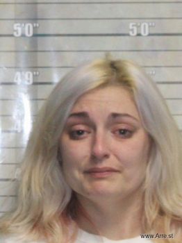 Amber Elizabeth Hall Mcdonald Mugshot