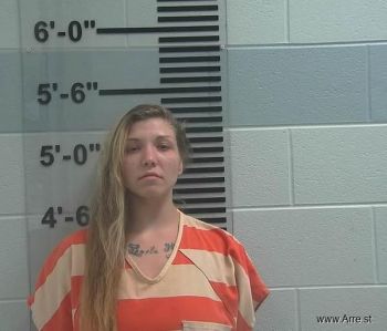 Amber Nichole Harter Mugshot