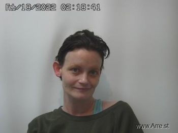 Amber Dawn Johnson Mugshot